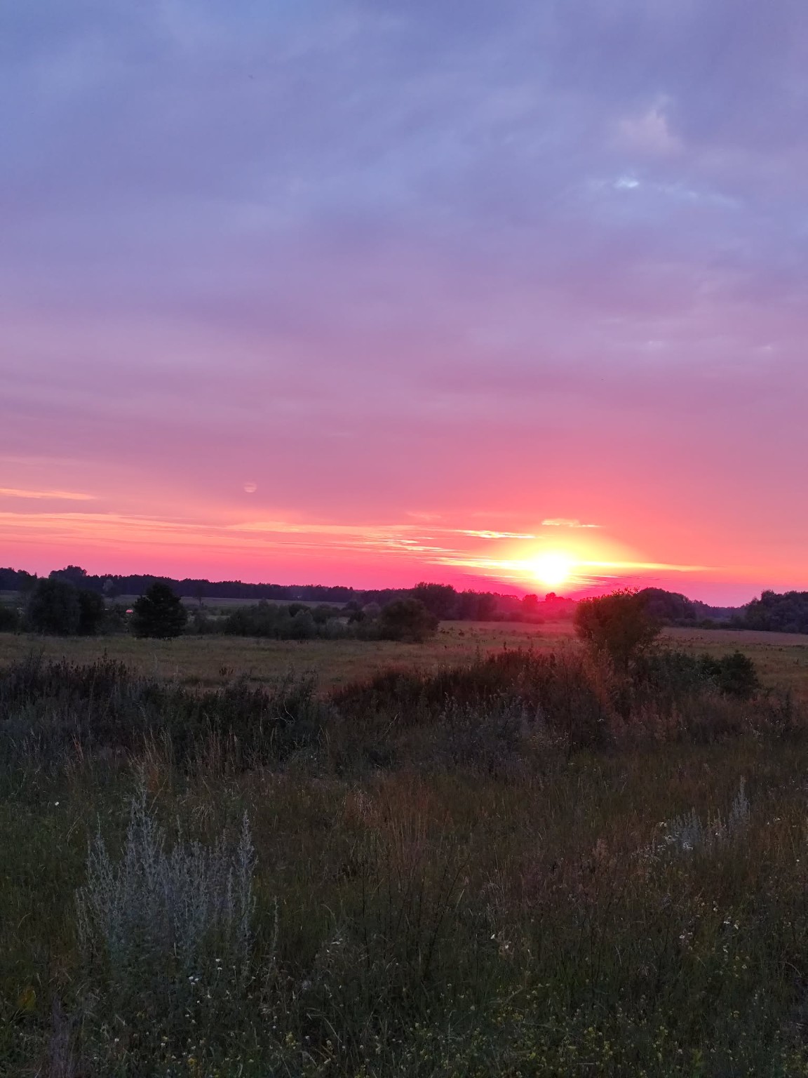 Zachód słońca nad podlaskimi łąkami
